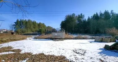 Terrain dans Novy Dvor, Biélorussie