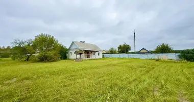 Haus in Mikalajeuscyna, Belarus