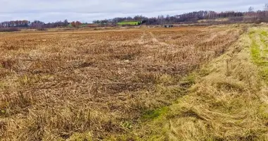 Plot of land in Abavnieki, Latvia