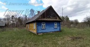 Haus in Lukauski sielski Saviet, Weißrussland