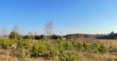 Plot of land in Pauliukiskes, Lithuania