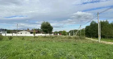 Haus in Putcynski siel ski Saviet, Weißrussland