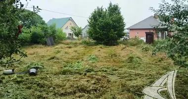 House in Novyja Lyscycy, Belarus