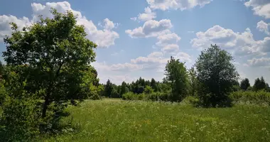 Grundstück in Schirwindt, Litauen