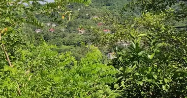 Terrain dans Akhalsheni, Géorgie