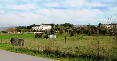 Parcela en Municipality of Pylaia - Chortiatis, Grecia