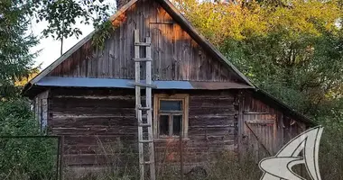 House in Aharodnicki sielski Saviet, Belarus