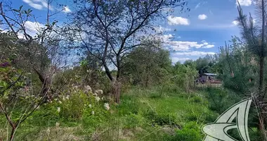Plot of land in Matykalski selski Savet, Belarus