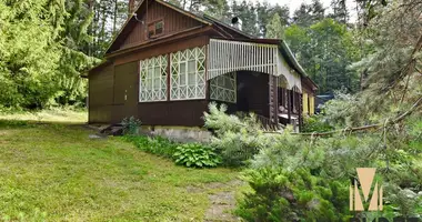 House in Kalodziscanski sielski Saviet, Belarus