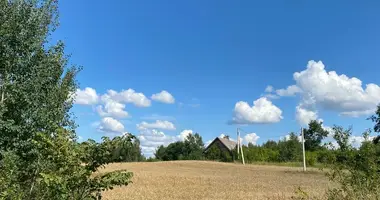 Plot of land in Sausaraistis, Lithuania