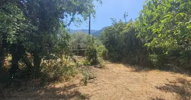 Terrain dans Potamia, Grèce