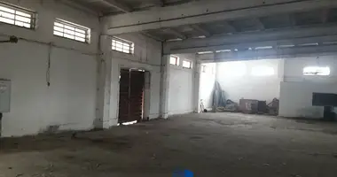 Warehouse 988 m² in Kalinkavichy, Belarus