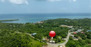 Дом 6 спален в Pollytilly Bight, Гондурас