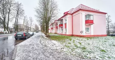 Apartamento 2 habitaciones en Usyazh, Bielorrusia