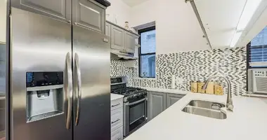 Appartement 2 chambres dans New York, États-Unis d'Amérique