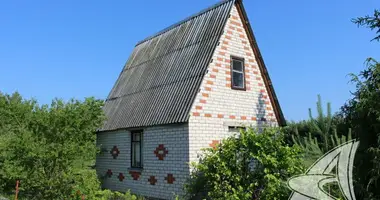 House in Recycki sielski Saviet, Belarus