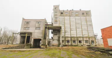Коммерческое помещение 30 793 м² в Вилкавишкис, Литва