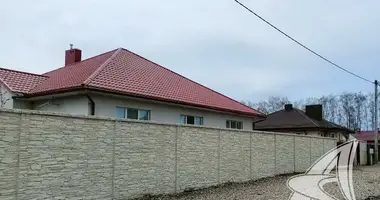 House in Lyscycki sielski Saviet, Belarus