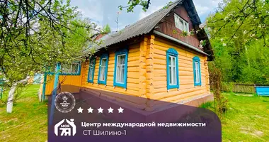 Maison dans Losnicki selski Savet, Bélarus