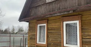 House in Niemanicki sielski Saviet, Belarus