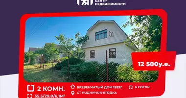 Haus 2 Zimmer in Piatryskauski sielski Saviet, Weißrussland