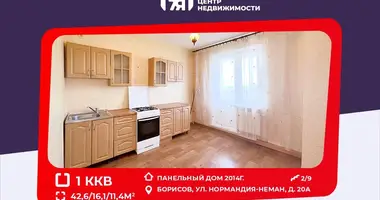 1 room apartment in Barysaw, Belarus