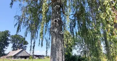 Parcela en Macijauskai, Lituania