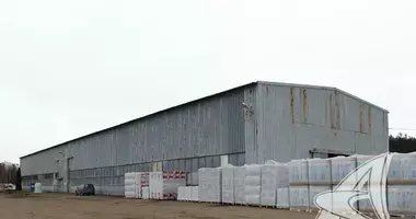 Entrepôt 3 306 m² dans Brest, Biélorussie