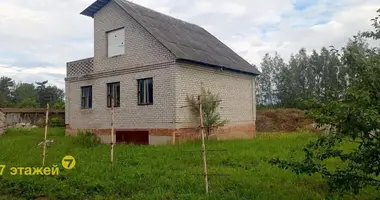 House in Drackauski sielski Saviet, Belarus