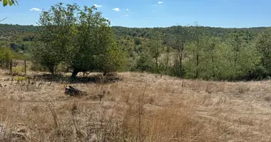 Plot of land in Sredets, Bulgaria