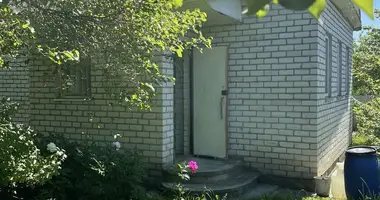 House in Baraulianski sielski Saviet, Belarus