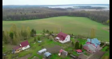 Dom w Naracki sielski Saviet, Białoruś