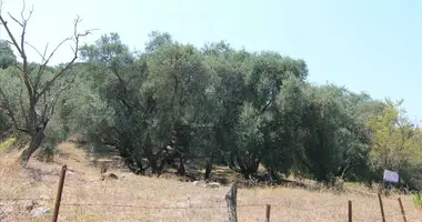 Terrain dans Agios Pantaleimonas, Grèce