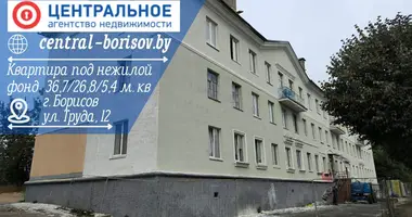 Appartement 2 chambres dans Borissov, Biélorussie