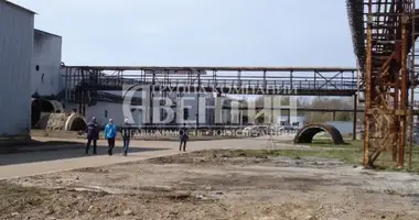 Propiedad comercial 30 000 m² en Bolsheluckoe selskoe poselenie, Rusia