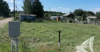Plot of land in Znamienski sielski Saviet, Belarus