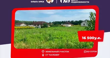 Plot of land in Jzufouski sielski Saviet, Belarus