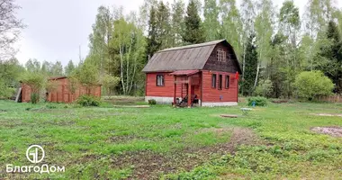 Дом в Рубежевичский сельский Совет, Беларусь