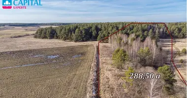 Plot of land in Plakna, Lithuania