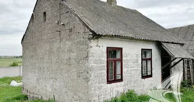 House in Lyscycki sielski Saviet, Belarus