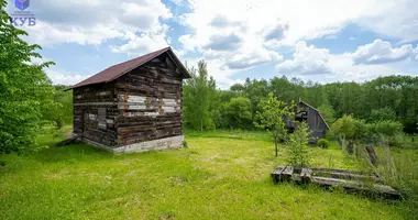 Maison dans Kirsy, Biélorussie