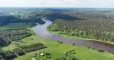 Дом в Padaigai, Литва