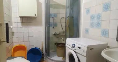 2 bedroom apartment in Lida, Belarus