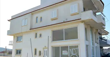 Gewerbefläche 420 m² in Municipality of Vari - Voula - Vouliagmeni, Griechenland
