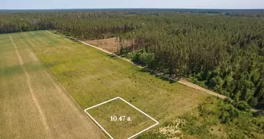 Plot of land in Didieji Lygainiai, Lithuania