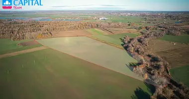 Plot of land in Raseiniai, Lithuania