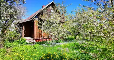 Casa en Papiarnianski siel ski Saviet, Bielorrusia