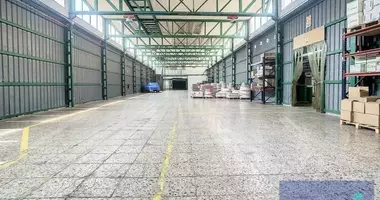 Entrepôt 2 049 m² dans Alicante, Espagne