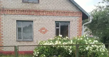 Haus in Nieharelski sielski Saviet, Belarus