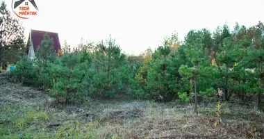 Plot of land in Zodzinski sielski Saviet, Belarus